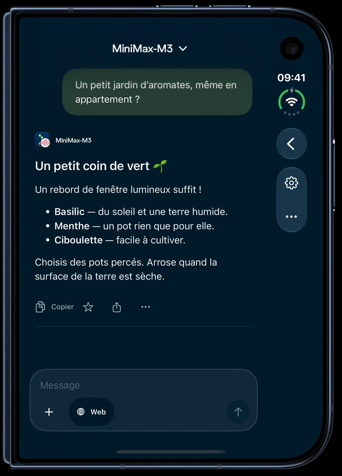 iPhone Duo · fermé — Nebius Chat sur iPhone : une conversation autour d’un jardin d’aromates.