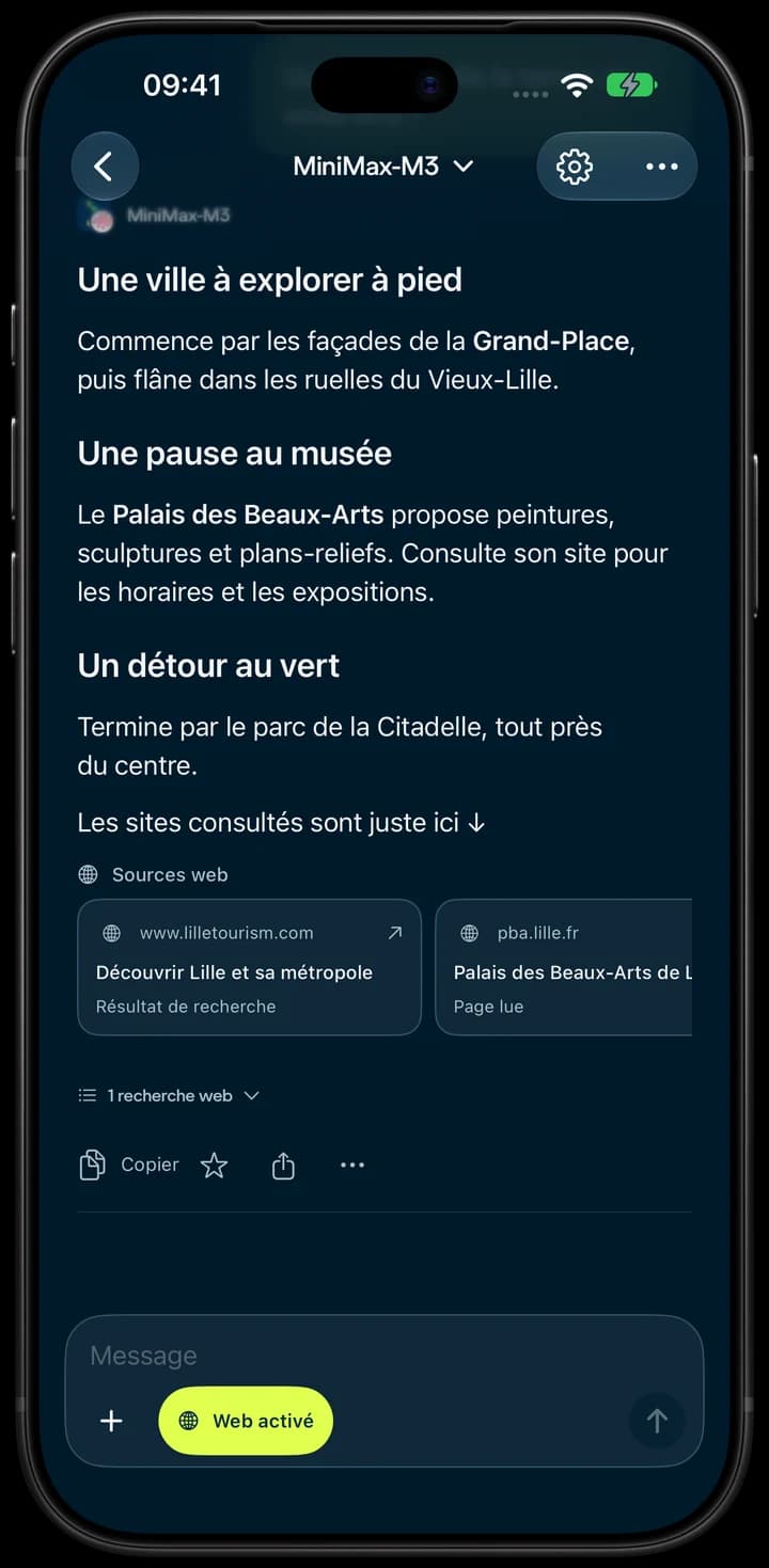 Une recherche sur Lille avec des liens vers les sources, sur iPhone.