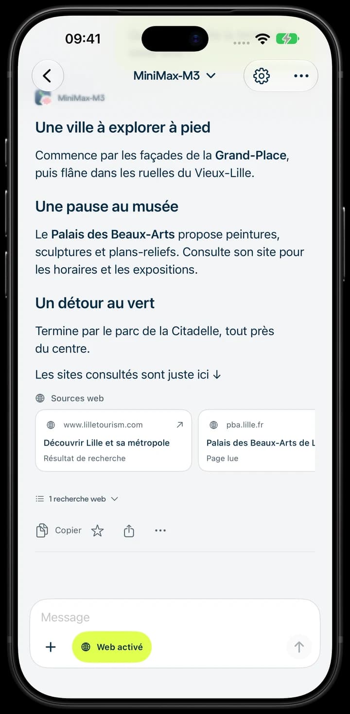 Une recherche sur Lille avec des liens vers les sources, sur iPhone.