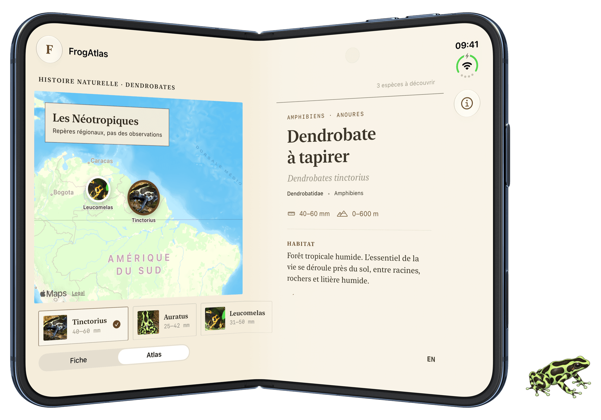 FrogAtlas partiellement replié : la carte et la fiche détaillée occupent chacune une région de l’écran.