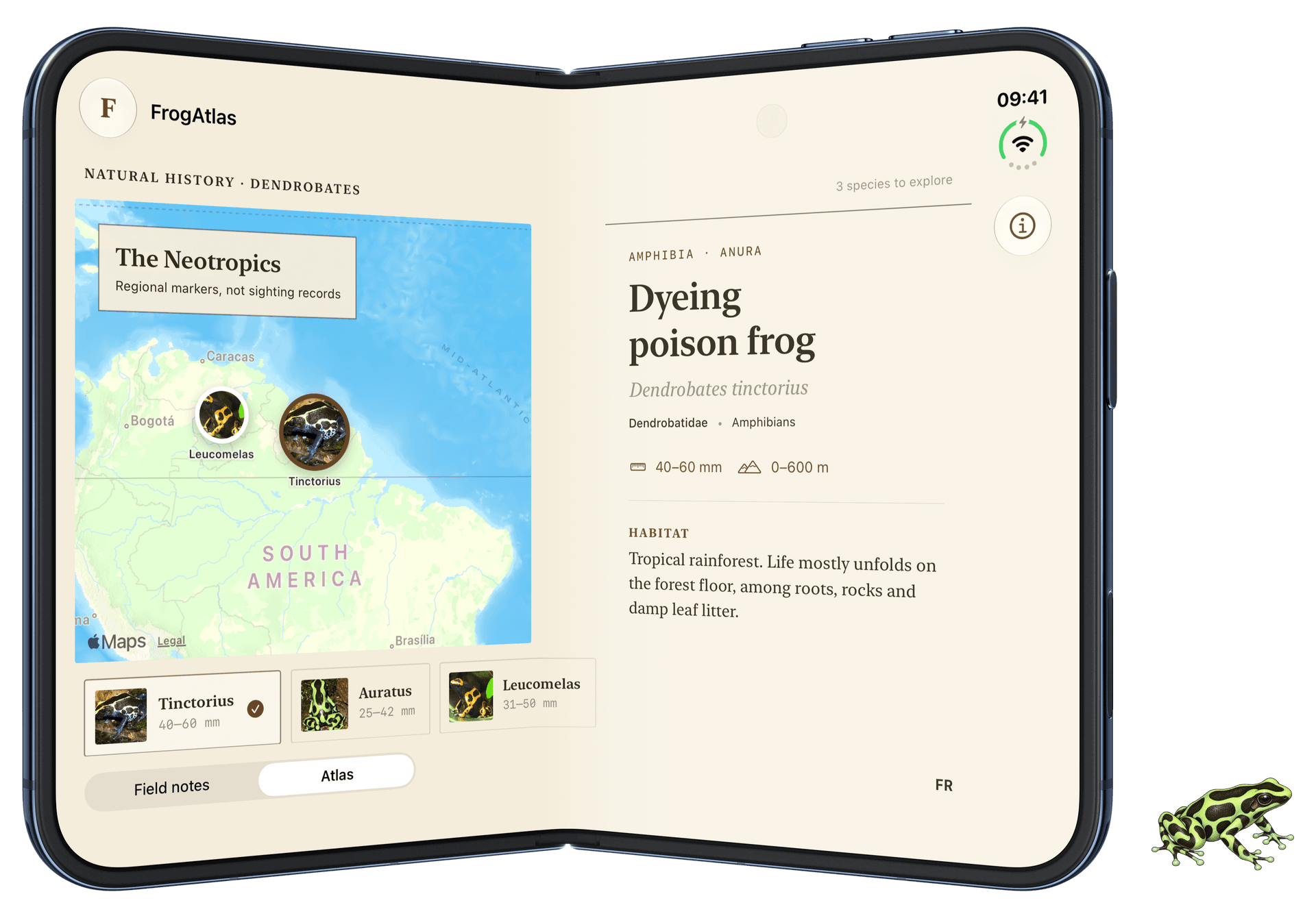 FrogAtlas partially folded: the map and expanded species account each occupy one display region.