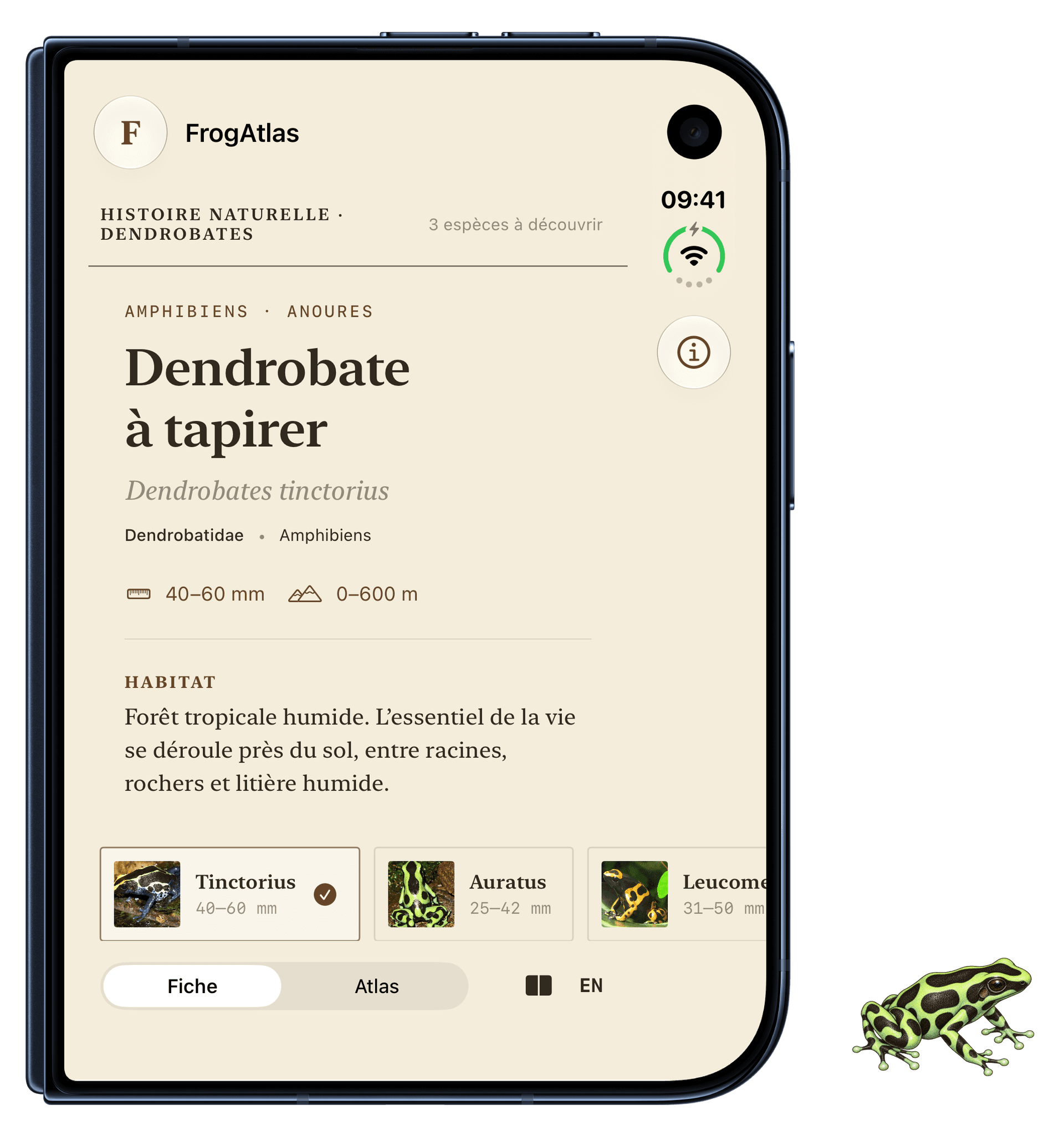 FrogAtlas sur l’écran extérieur : la fiche reste visible quand le partage est limité à l’axe horizontal.