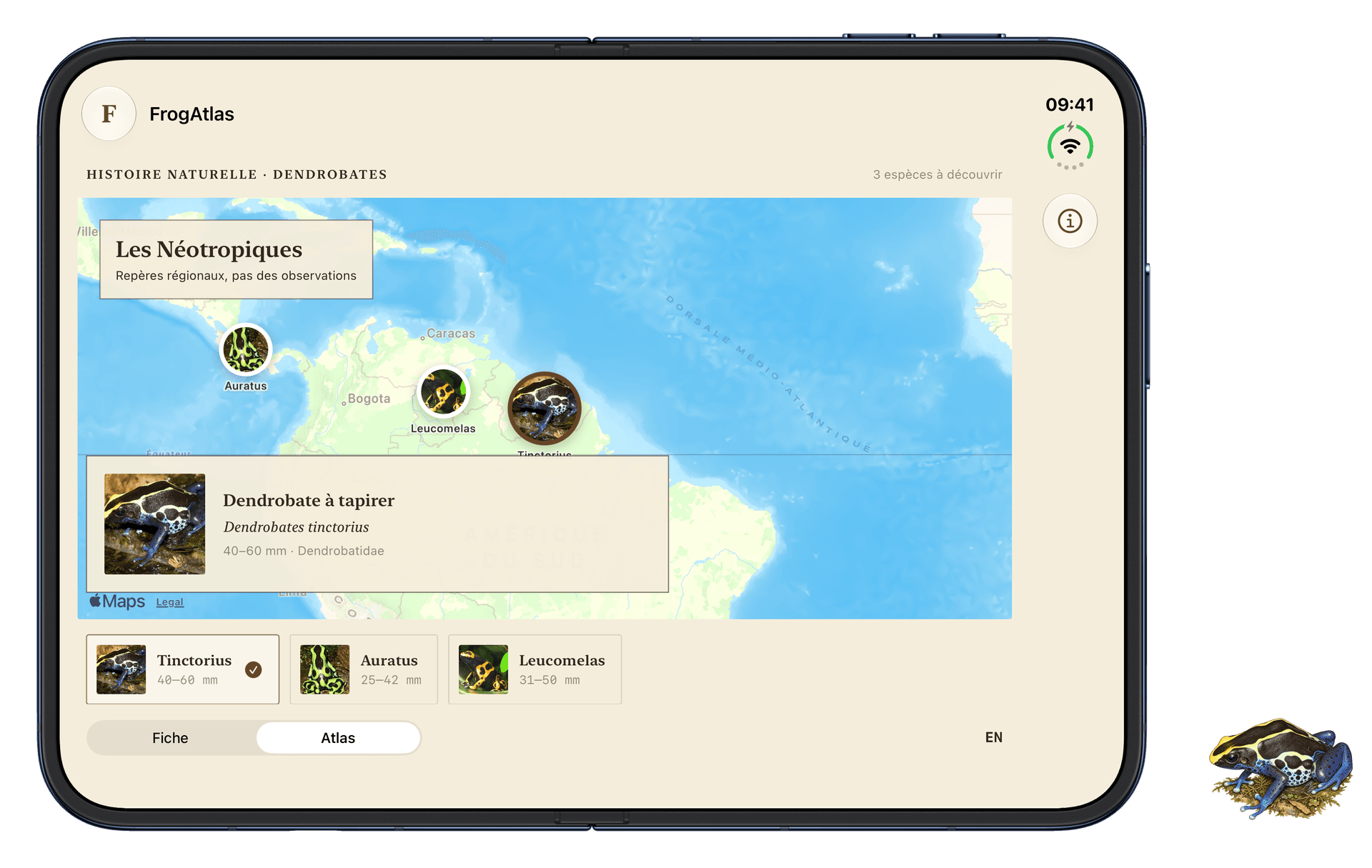 FrogAtlas à plat : une fiche compacte est superposée à la carte interactive.